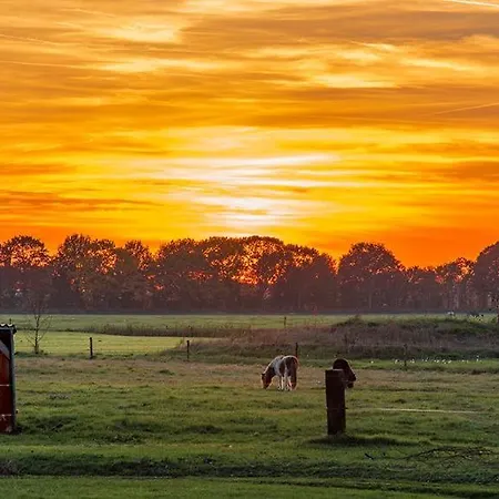 Holiday home Wetland Vakantiehuisjes