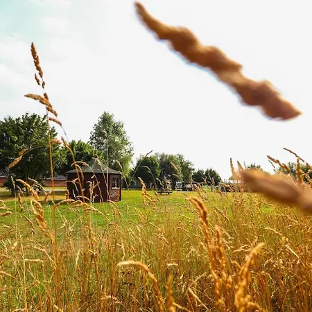 Holiday home Wetland Vakantiehuisjes Asten